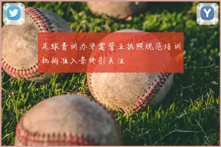 足球青训办学需营业执照规范培训机构准入条件引关注
