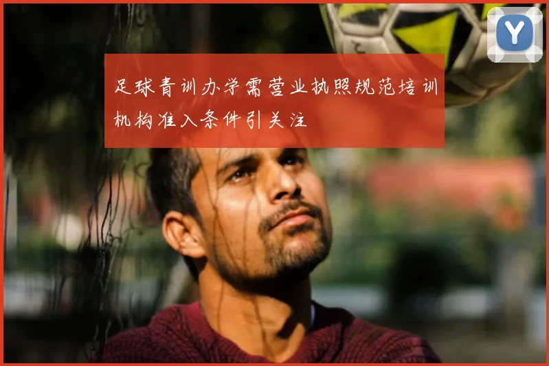 足球青训办学需营业执照规范培训机构准入条件引关注