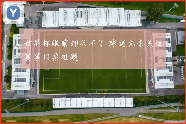 世界杯眼前却买不了 球迷无奈关注赛事门票难题